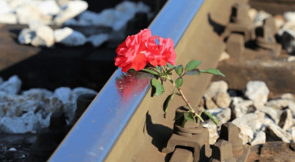Causes of Rail Accidents