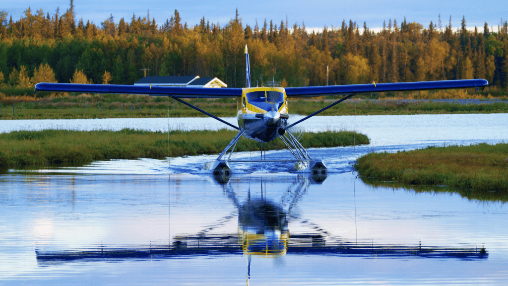 Blue and Yellow Floatplane